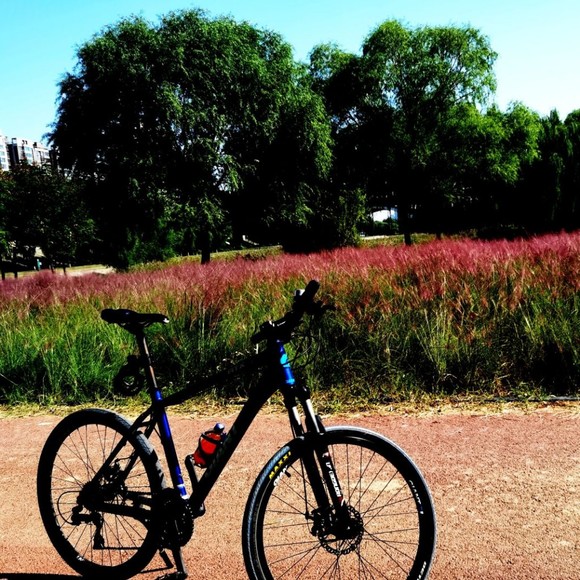 Meet your Posher, Lorenzo - Picture 1 of 1